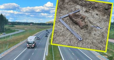 Na budowie drogi S17 pojawił się… mamut. GDDKiA mówi, co z kolejnymi 50 km