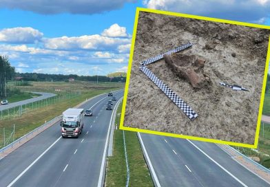 Na budowie drogi S17 pojawił się… mamut. GDDKiA mówi, co z kolejnymi 50 km