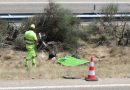 Piłkarz Liverpoolu Diogo Jota jechał z bratem Lamborghini. Mieli śmiertelny wypadek