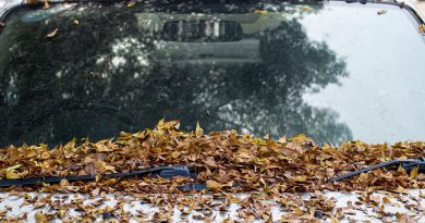 Stosują trick z liściem i udają „cwaną gapę”. Policjant nie da się nabrać. Kara będzie sroga