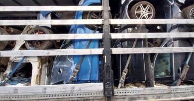 Litewska ciężarówka pod lupą ITD. Przewożone połówki i części samochodowe uznano za złom