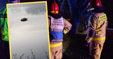 Jechał „elektrykiem”, kiedy na drogę wybiegła sarna. Na jego nieszczęście tuż obok był staw