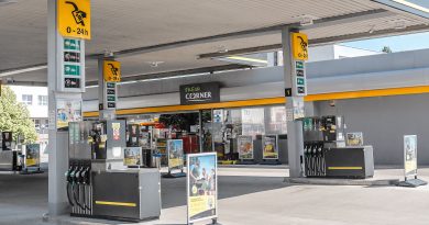 Pierwszy kraj już wprowadził podwójne ceny diesla. Co to za pomysł?