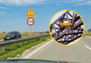 Następny OPP na autostradzie A4 już działa. Limit jest tutaj wyjątkowo niski