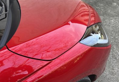 Tyle kosztuje w Polsce najtańsze nowe auto produkowane w Japonii. Zaskakujące wyposażenie