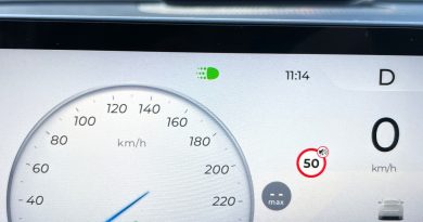 Jest nowa kontrolka w autach. Zielonej „niedźwiedziej łapy” nie trzeba się bać