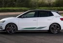 Skoda Fabia Motorsport to limitowana edycja limitowanej edycji. Jedno rozczarowuje