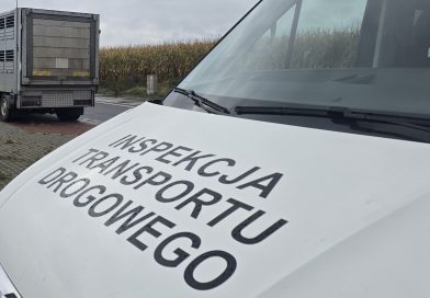 Co robią inspektorzy ITD w wakacje? Na Podlasiu ważyli żwir. I mieli nosa