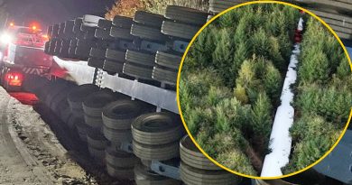 Ogromna łopata turbiny runęła między drzewa. 135 ton spowodowało miliony strat