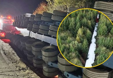 Ogromna łopata turbiny runęła między drzewa. 135 ton spowodowało miliony strat