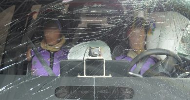Euro NCAP kontroluje przyciski w samochodach. Porównała model niemiecki z chińskim