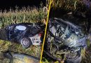 Wypadek z łosiem. 24-latka nie udało się uratować. Czy da się coś zrobić, żeby uniknąć takiej sytuacji?